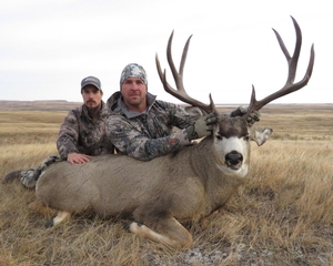 Alberta Mule Deer